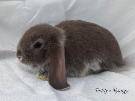 Vrh J27 - VOLNÝ 1 KLUK JIŽ K ODBĚRU !!!